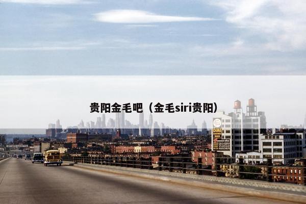 贵阳金毛吧（金毛siri贵阳）