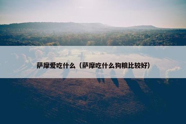 萨摩爱吃什么（萨摩吃什么狗粮比较好）