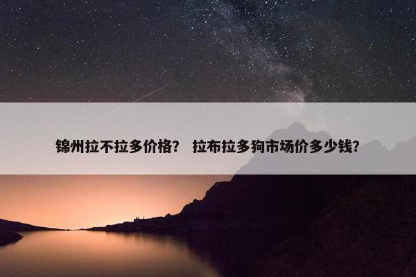 锦州拉不拉多价格？ 拉布拉多狗市场价多少钱？