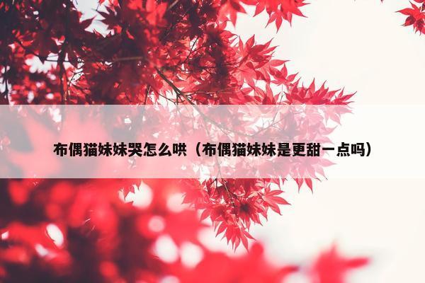 布偶猫妹妹哭怎么哄（布偶猫妹妹是更甜一点吗）