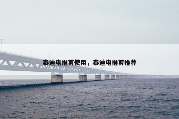 泰迪电推剪使用，泰迪电推剪推荐