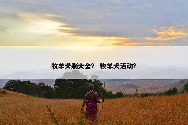 牧羊犬躺大全？ 牧羊犬活动？