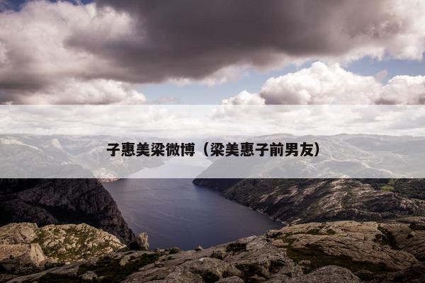 子惠美梁微博（梁美惠子前男友）