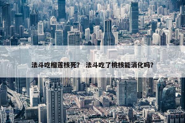 法斗吃榴莲核死？ 法斗吃了桃核能消化吗？