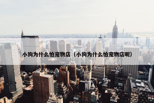 小狗为什么怕宠物店（小狗为什么怕宠物店呢）