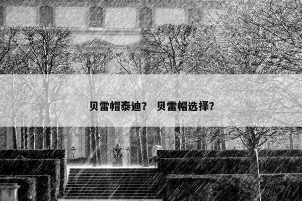 贝雷帽泰迪？ 贝雷帽选择？
