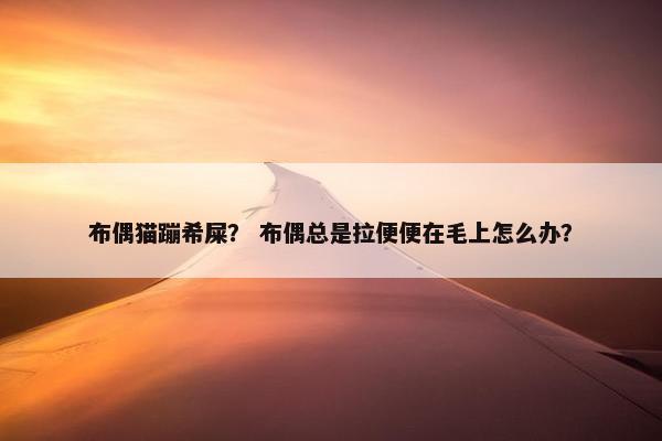 布偶猫蹦希屎？ 布偶总是拉便便在毛上怎么办？