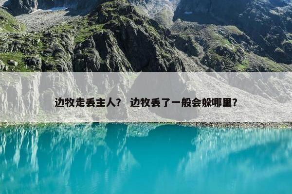边牧走丢主人？ 边牧丢了一般会躲哪里？