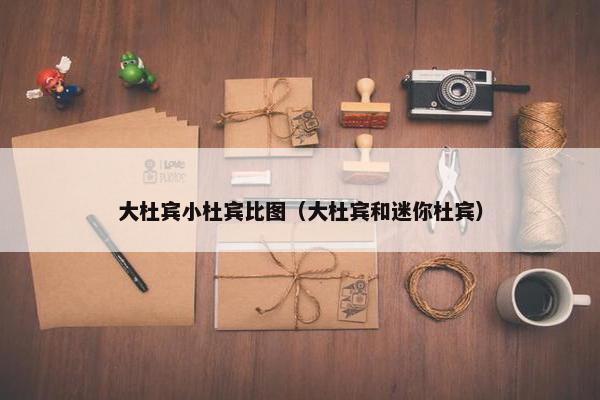 大杜宾小杜宾比图（大杜宾和迷你杜宾）