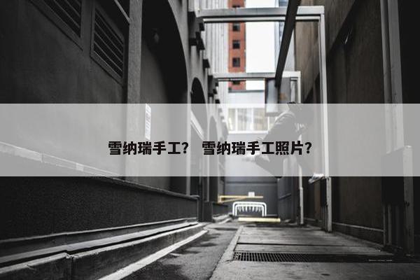 雪纳瑞手工？ 雪纳瑞手工照片？