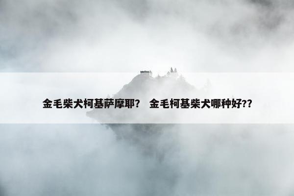 金毛柴犬柯基萨摩耶？ 金毛柯基柴犬哪种好?？