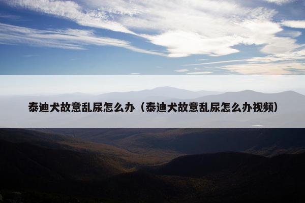 泰迪犬故意乱尿怎么办（泰迪犬故意乱尿怎么办视频）