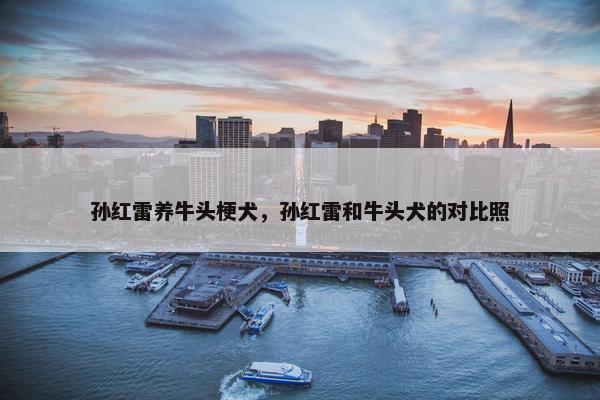 孙红雷养牛头梗犬，孙红雷和牛头犬的对比照