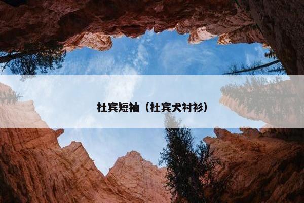 杜宾短袖（杜宾犬衬衫）