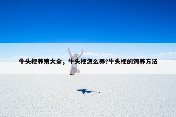 牛头梗养殖大全，牛头梗怎么养?牛头梗的饲养方法