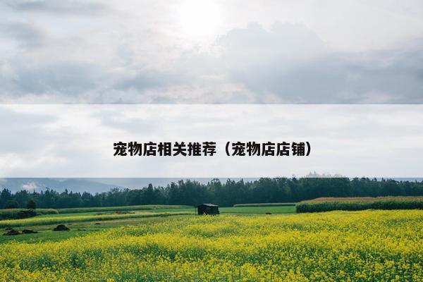 宠物店相关推荐（宠物店店铺）