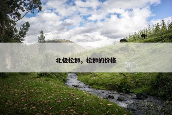 北极松狮，松狮的价格
