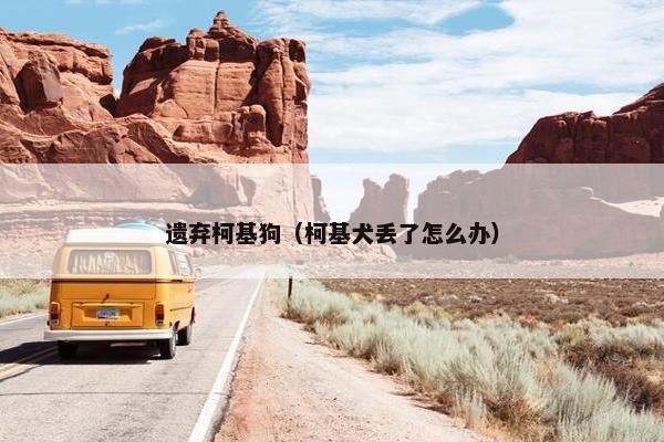 遗弃柯基狗（柯基犬丢了怎么办）