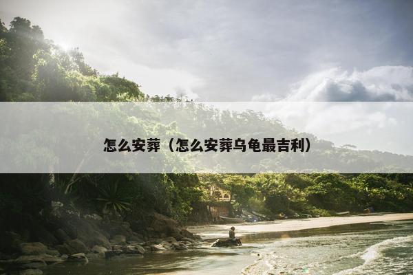 怎么安葬（怎么安葬乌龟最吉利）
