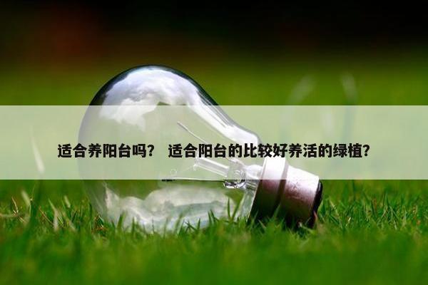 适合养阳台吗？ 适合阳台的比较好养活的绿植？