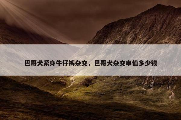巴哥犬紧身牛仔裤杂交，巴哥犬杂交串值多少钱