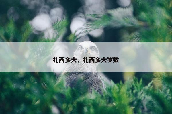 扎西多大，扎西多大岁数