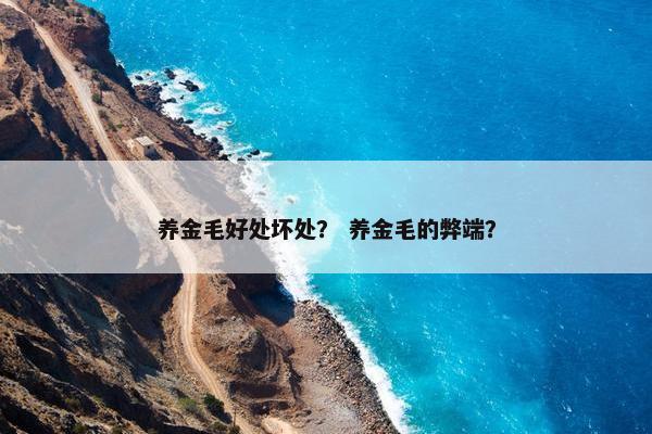 养金毛好处坏处？ 养金毛的弊端？