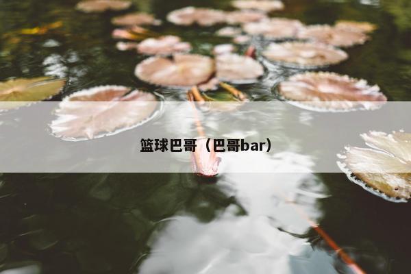 篮球巴哥（巴哥bar）