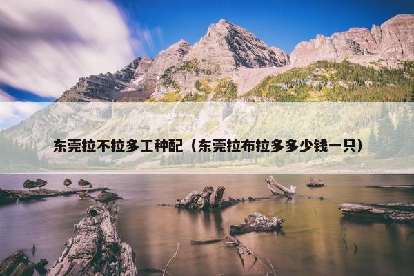 东莞拉不拉多工种配（东莞拉布拉多多少钱一只）