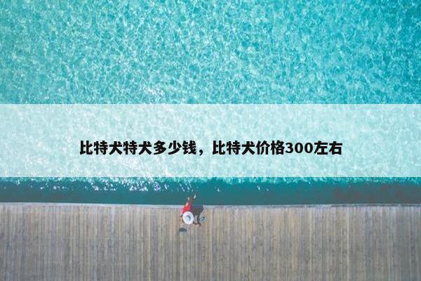 比特犬特犬多少钱，比特犬价格300左右