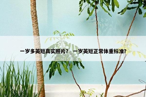 一岁多英短真实照片？ 一岁英短正常体重标准？