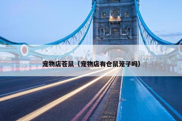 宠物店苍鼠（宠物店有仓鼠笼子吗）
