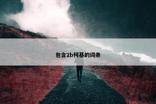 包含2b柯基的词条