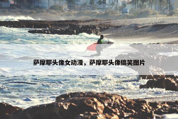 萨摩耶头像女动漫，萨摩耶头像搞笑图片