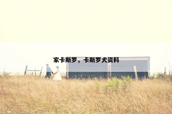 家卡斯罗，卡斯罗犬资料