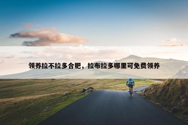 领养拉不拉多合肥，拉布拉多哪里可免费领养