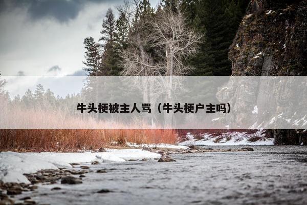 牛头梗被主人骂（牛头梗户主吗）