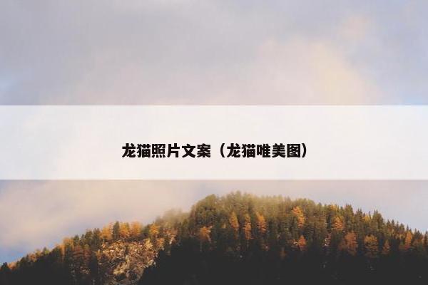 龙猫照片文案（龙猫唯美图）
