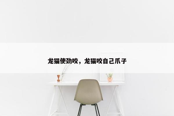 龙猫使劲咬，龙猫咬自己爪子