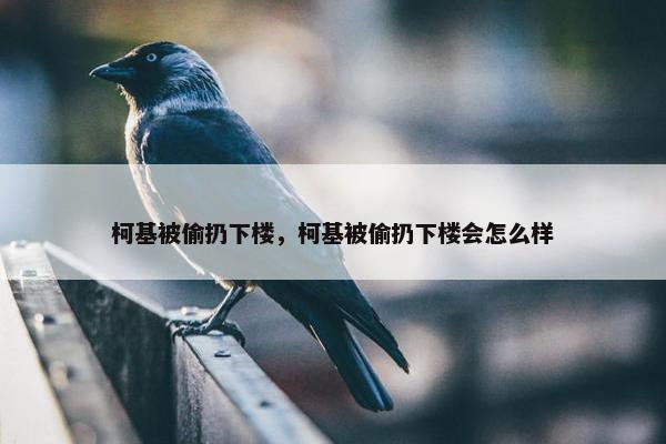 柯基被偷扔下楼，柯基被偷扔下楼会怎么样