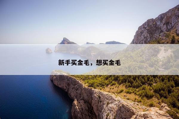 新手买金毛，想买金毛