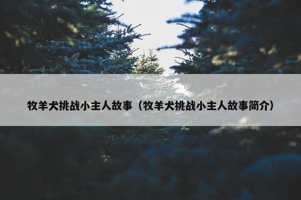 牧羊犬挑战小主人故事（牧羊犬挑战小主人故事简介）