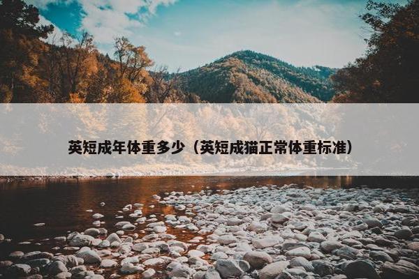 英短成年体重多少（英短成猫正常体重标准）