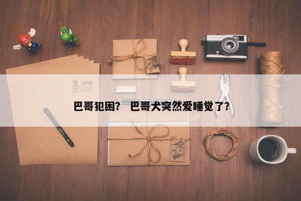 巴哥犯困？ 巴哥犬突然爱睡觉了？