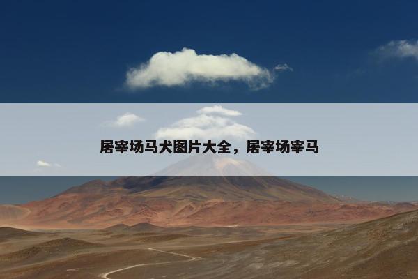 屠宰场马犬图片大全，屠宰场宰马