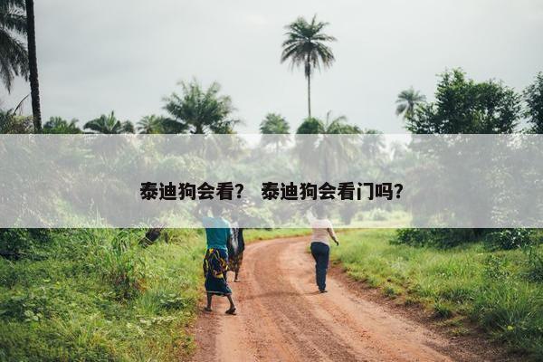 泰迪狗会看？ 泰迪狗会看门吗？
