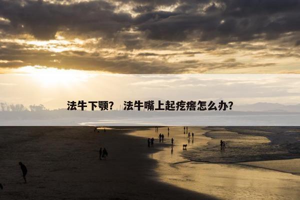 法牛下颚？ 法牛嘴上起疙瘩怎么办？