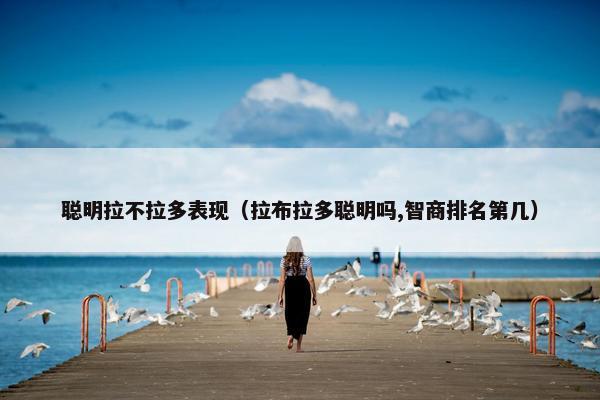 聪明拉不拉多表现（拉布拉多聪明吗,智商排名第几）