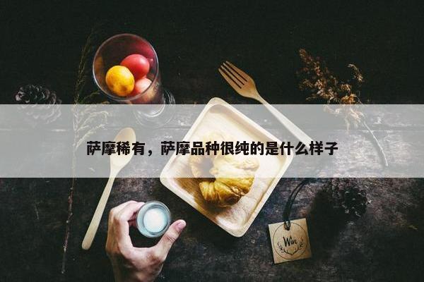 萨摩稀有，萨摩品种很纯的是什么样子