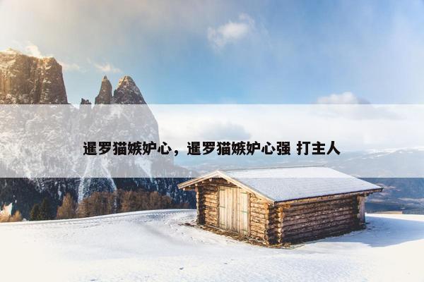暹罗猫嫉妒心，暹罗猫嫉妒心强 打主人